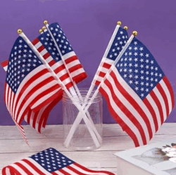 USA Flag
